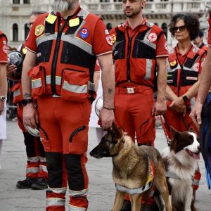 unità cinofile